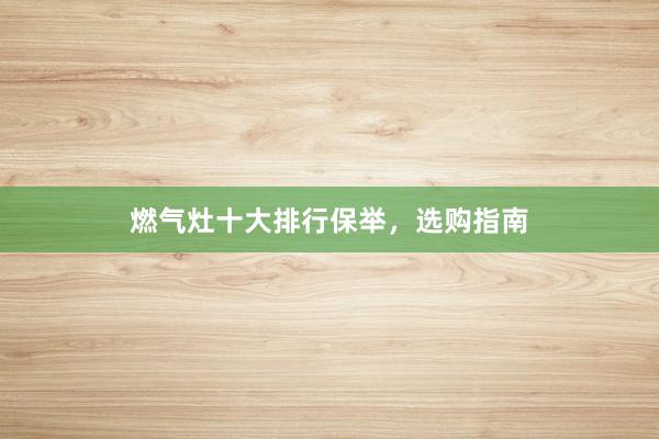 燃气灶十大排行保举，选购指南