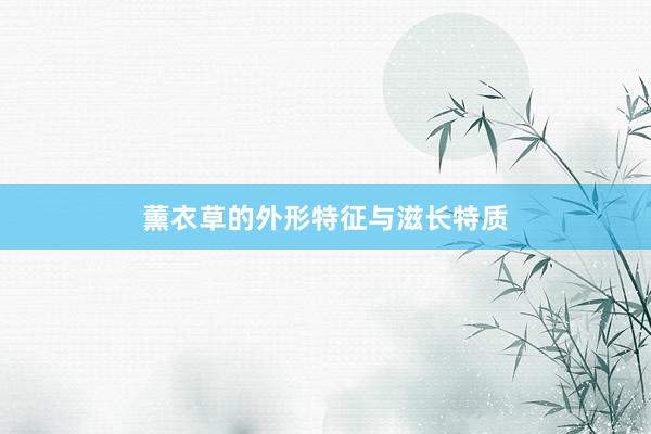 薰衣草的外形特征与滋长特质